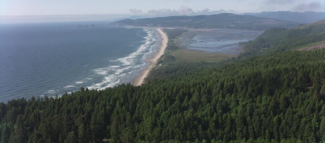 Forested hills border beach