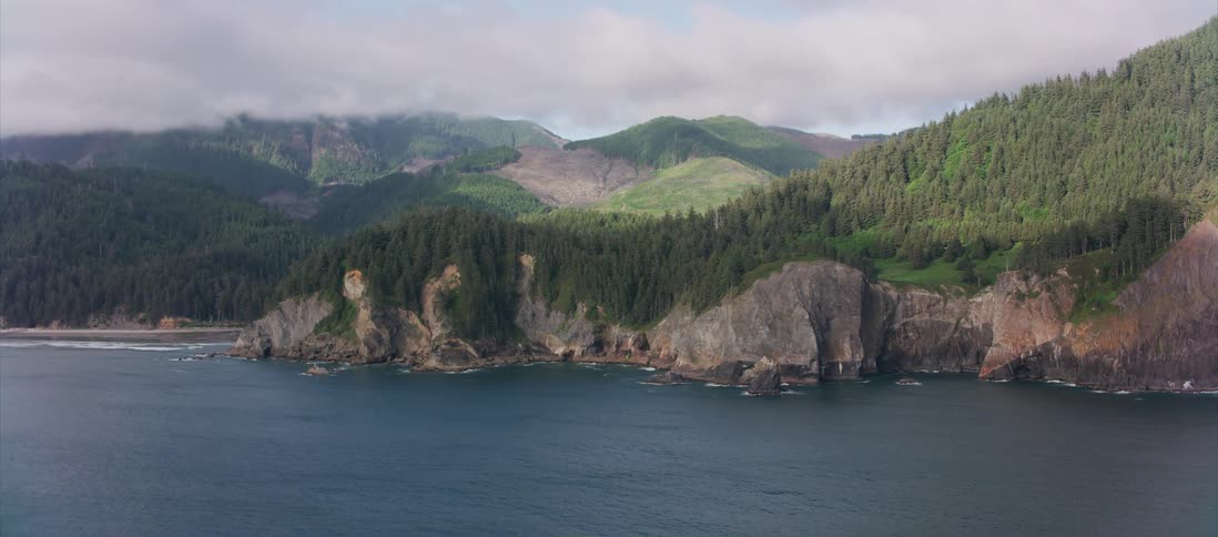 Trees grow on cliffs next to the ocean