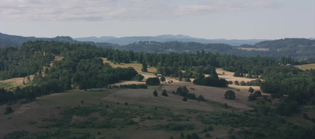 Trees cover hills and vast plains