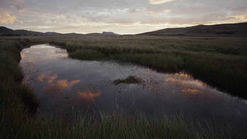 A small river gently flows through an expansive grassy field under a cloudy sky