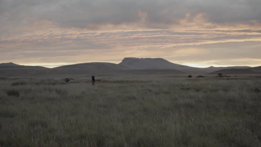 People hike through a weeded field