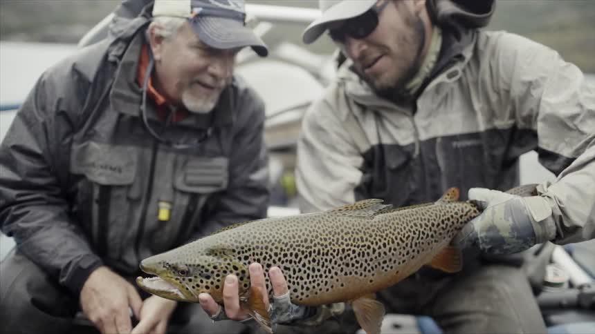 Two men look at a fish