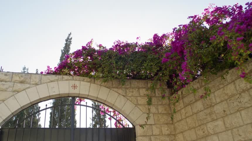 Flowers grow along the top of the brick structure