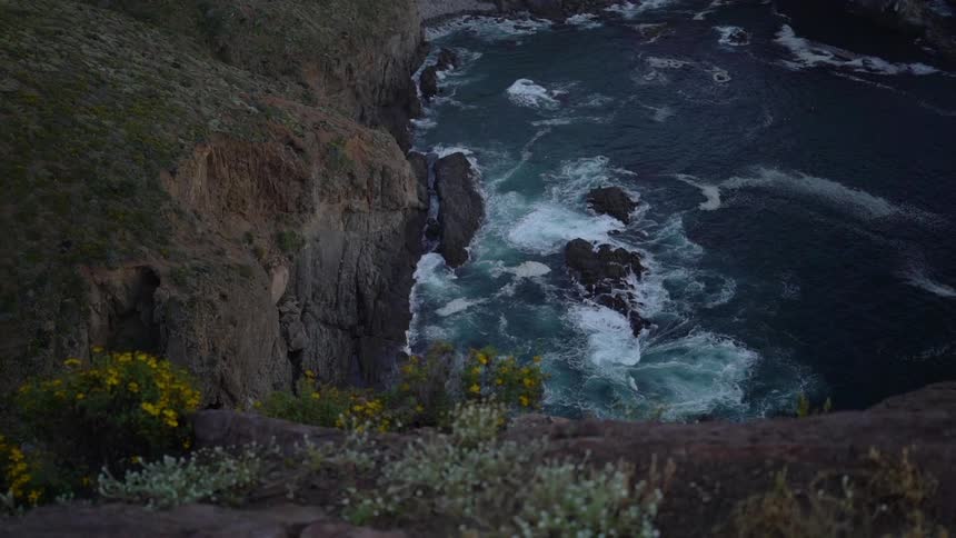 The ocean waves from the top of a cliff