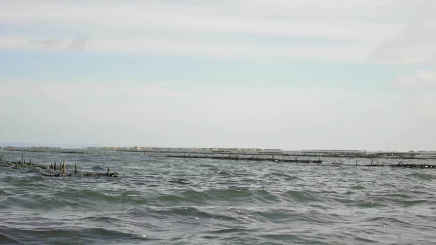 Camera moves on the waves across a large body of water