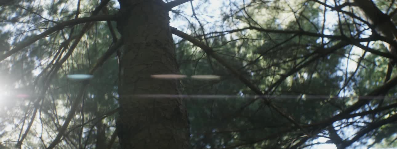 Girl Hanging Hammock
