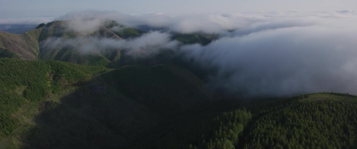 A fog forms over grassy hillside