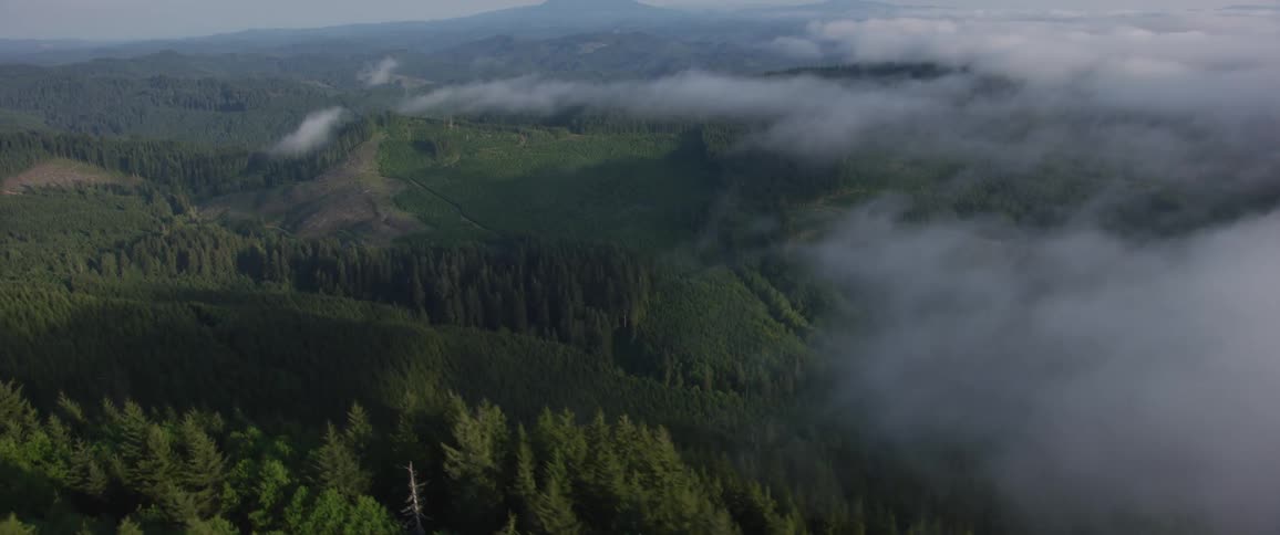 The camera flies over a wooded hillside with low clouds