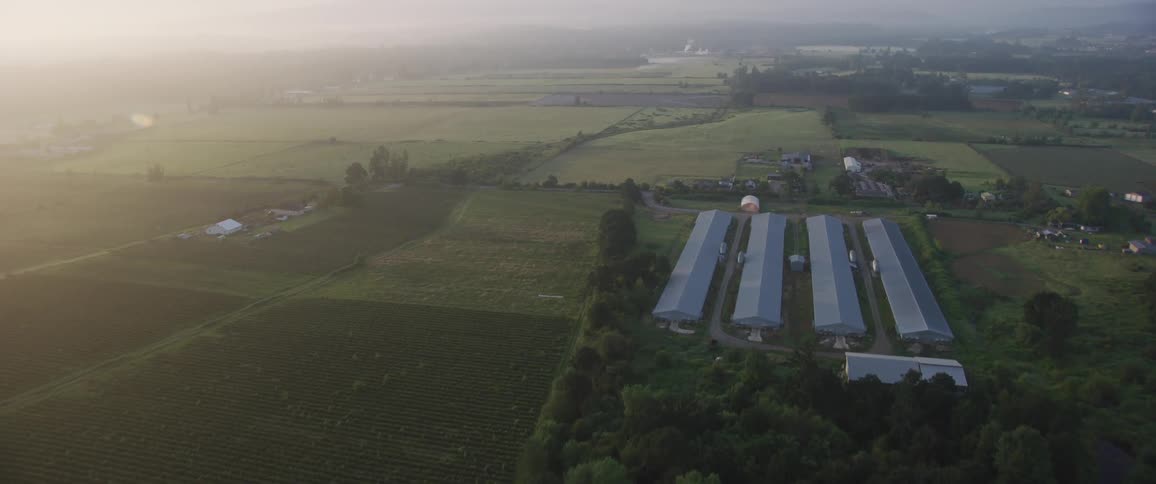 On a foggy and hazy day large swaths of farmland can be seen with several buildings scattered across the rural landscape
