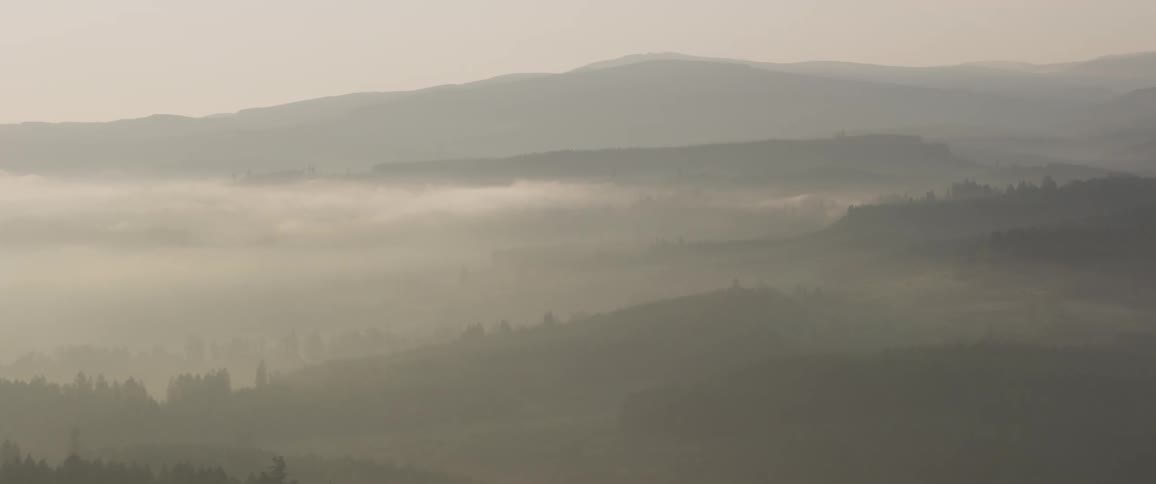 Fog covers forest and mountains