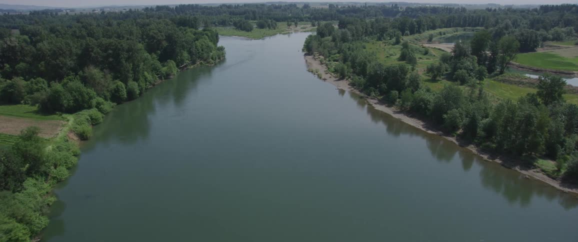 River with trees on both sides