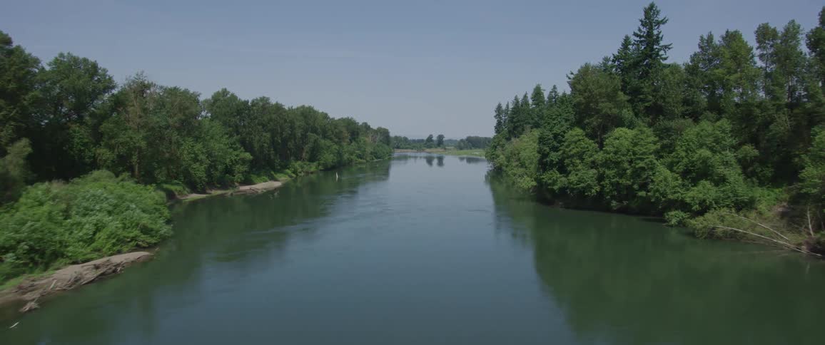 A river with trees on both sides