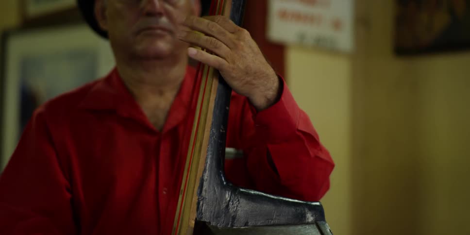A man is playing an instrument indoors
