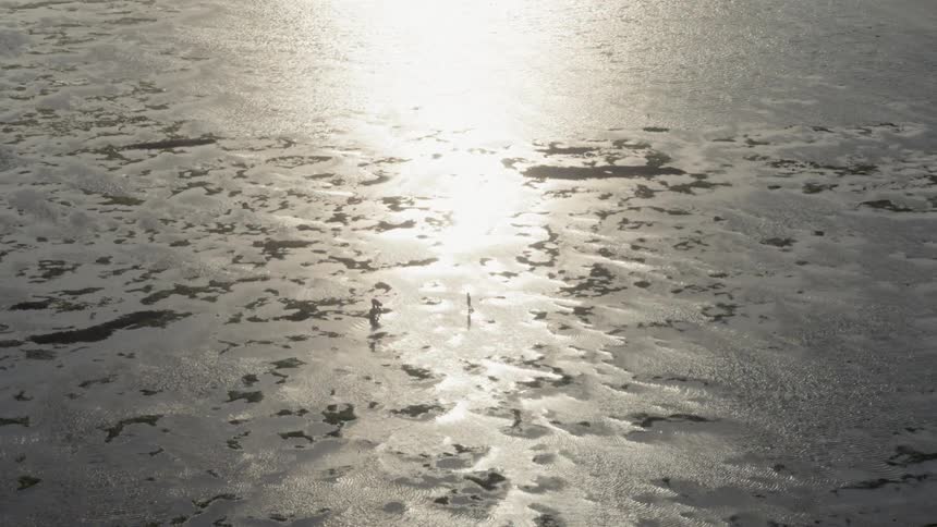 People walk in shallow water