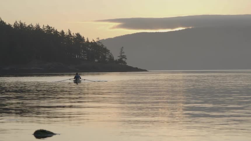 A person paddles a kayak down a river near a forest