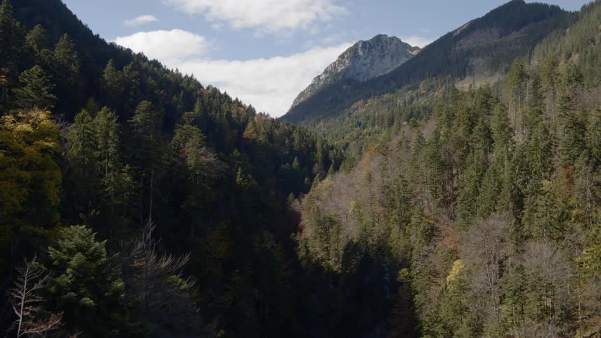 A forest lies between large mountains