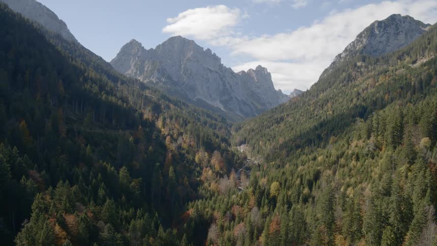 Forest in valley between mountains