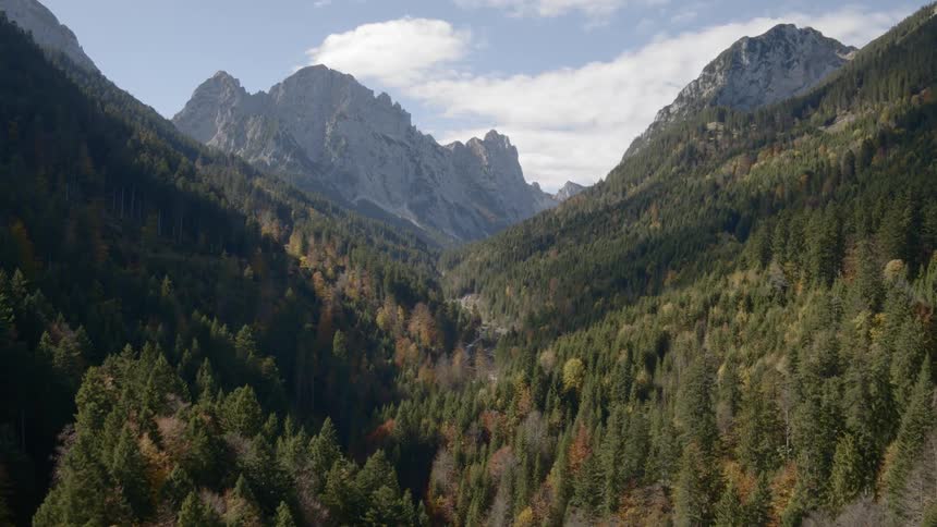 Tree covered valley between mountains