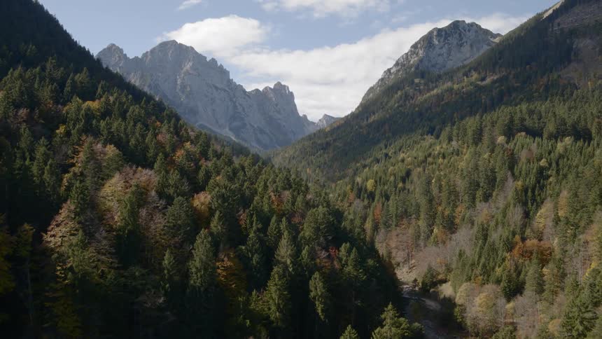 Tree covered valley between mountains