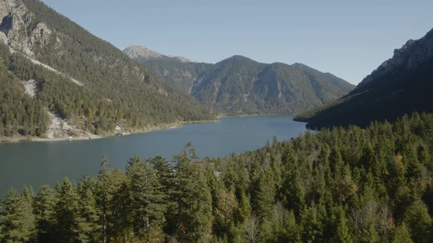 A forest with a lake and mountains in the background