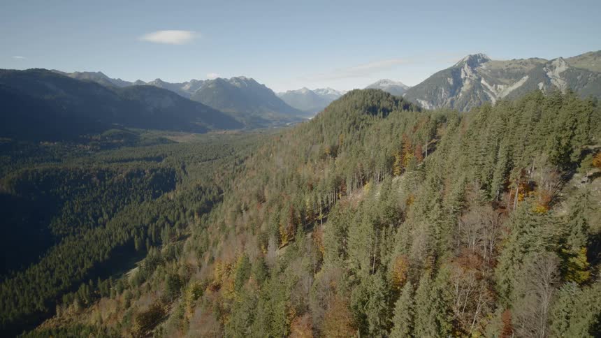 The camera flies over a wooded hillside