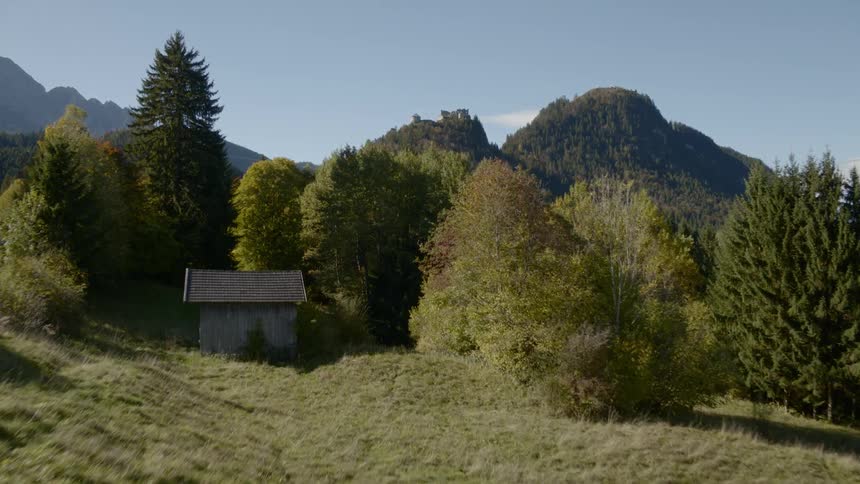 Building surrounded by trees on mountain