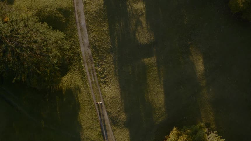 Two people walk down on the path through the field of grass while the sun goes down in