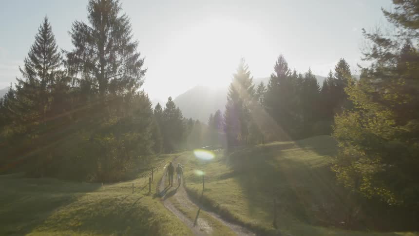A couple walks down a long gravel path