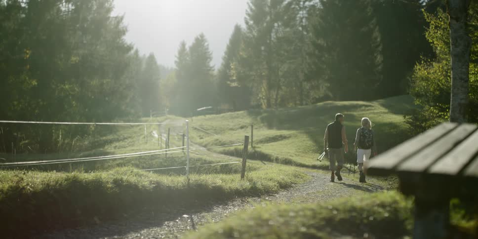 Couple walking on a path through the trees on a sunny day