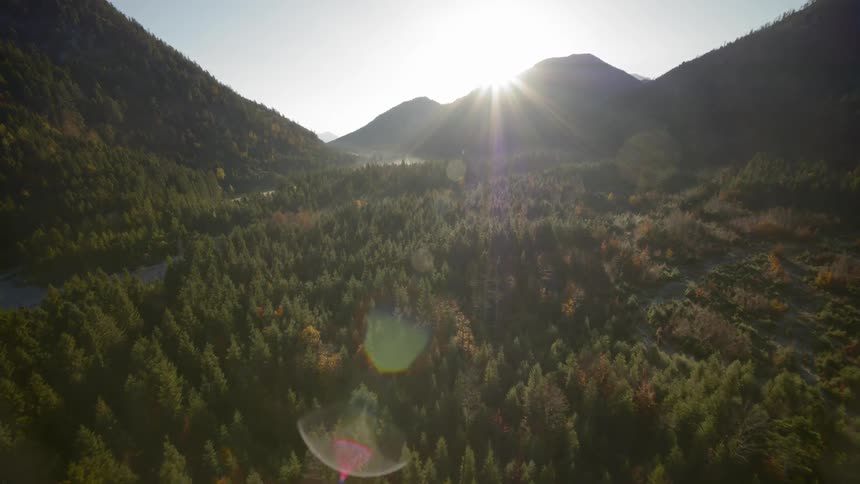 A forest fills a mountain valley