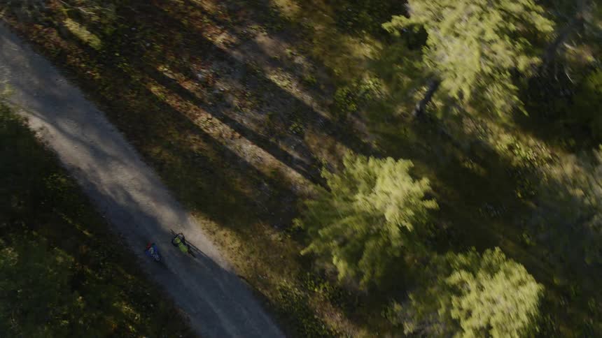 Two bicyclists are riding down a paved path in the woods