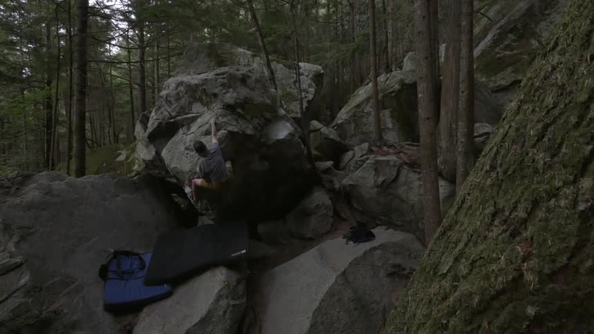A man rock climbing in a wooded area