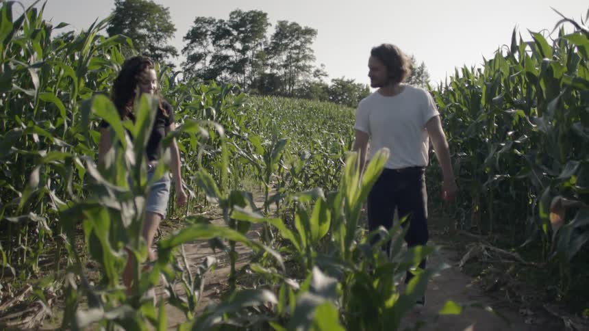 Man and woman walk in the field of corn on a sunny day