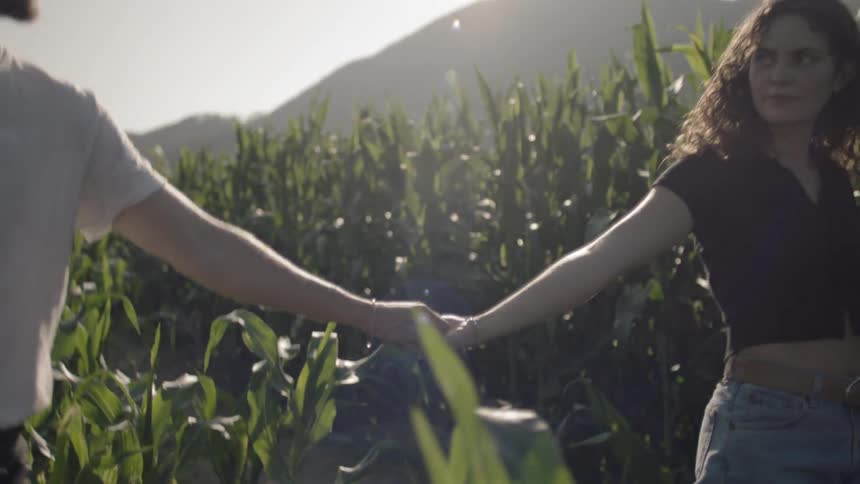 Two people walk through a corn field holding hands