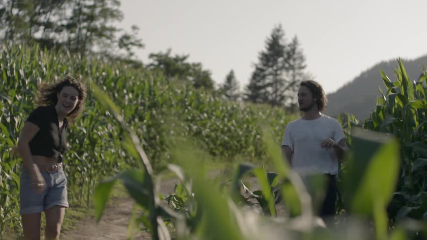 Couple run around a corn field holding hands