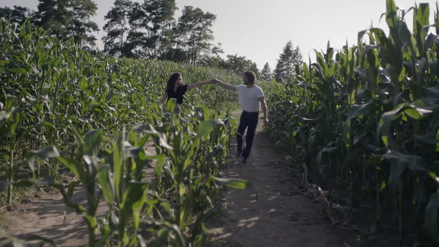 A male and a female are being playful in the corn fields