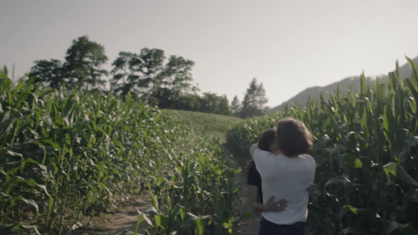 A couple walks through a cornfield holding hands