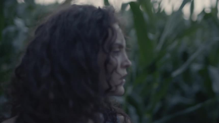 A woman looks frantically around the tall stalks she is between