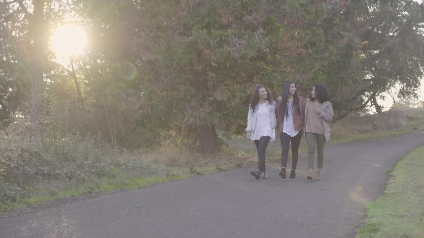 Three women walk down a path together