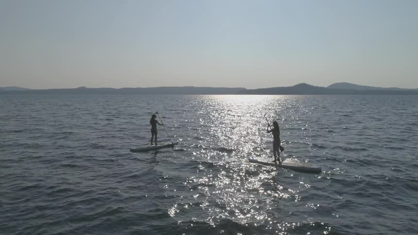 Two people travel on a lake on stand up paddle boards