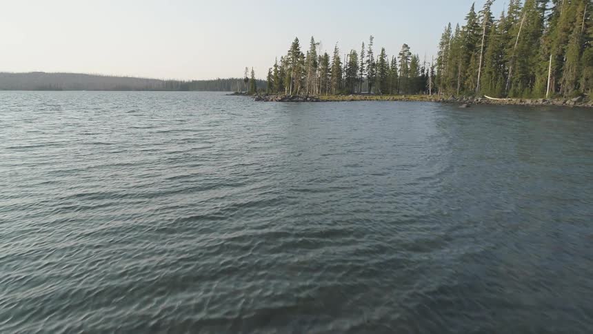 Lake water flows near a shore line