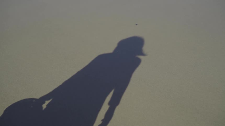 The shadow of a person holding a wicker basket before the arm of the person casting the shadow comes into view