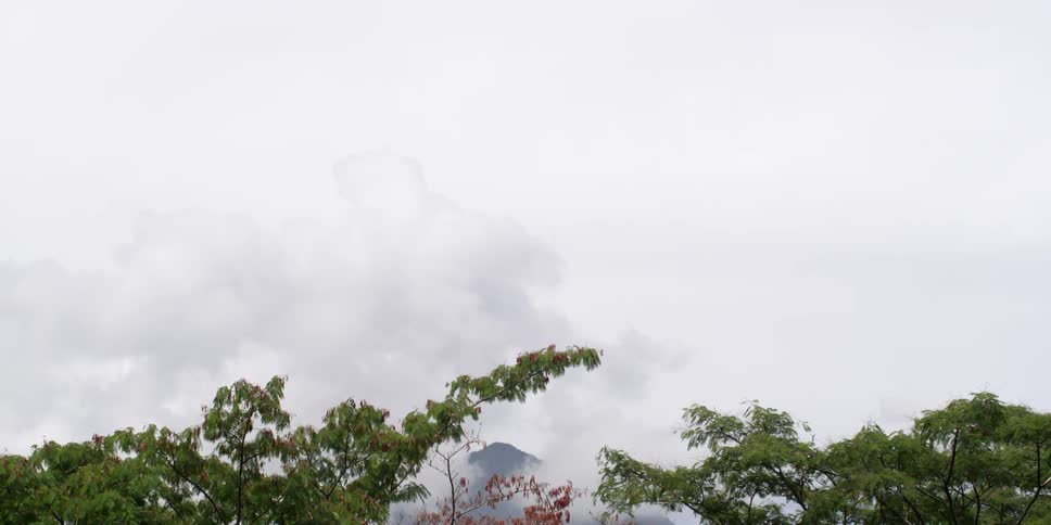 Clouds and trees framing a misty mountain