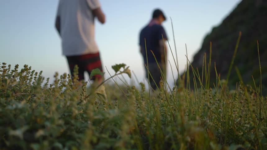 Three people walking on grass on a sunny day