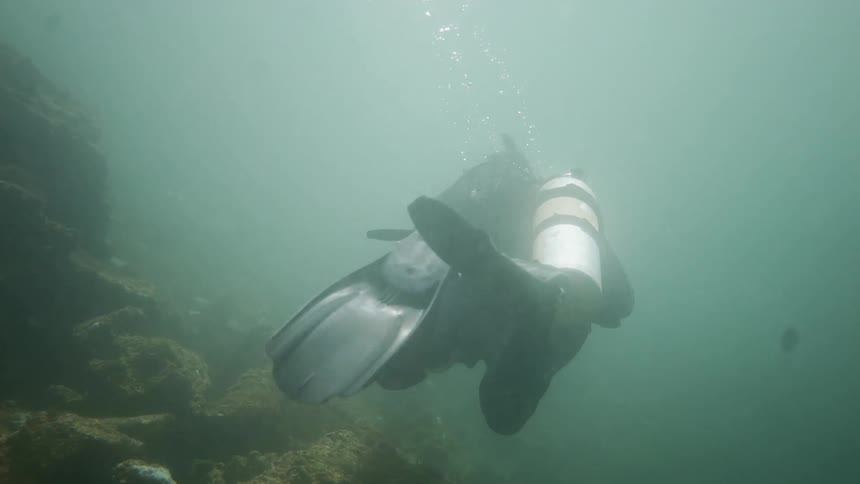A scuba diver swimming underwater