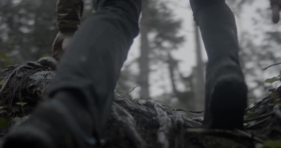 A person climbs up the roots of a tree while hiking