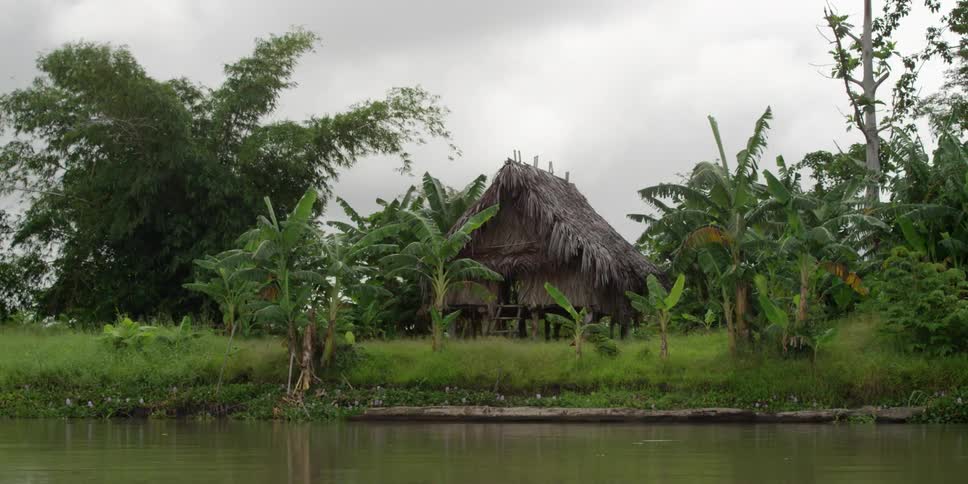 A hut in a tropical village