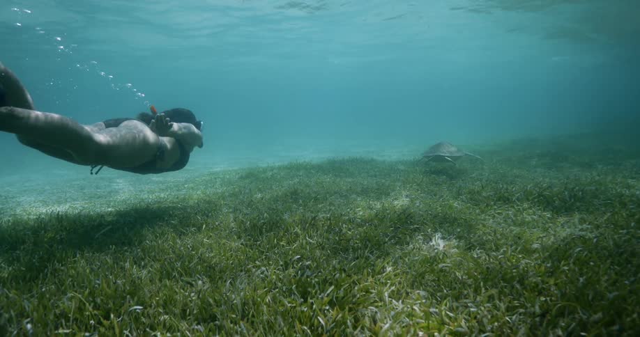 A woman that is swimming around under water next to a turtle