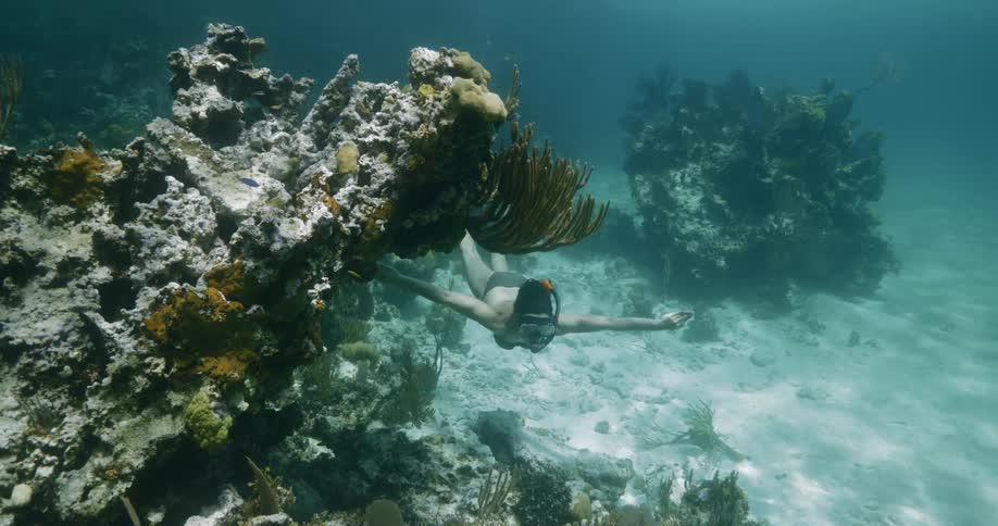 A female scuba diver swims across the ocean floor