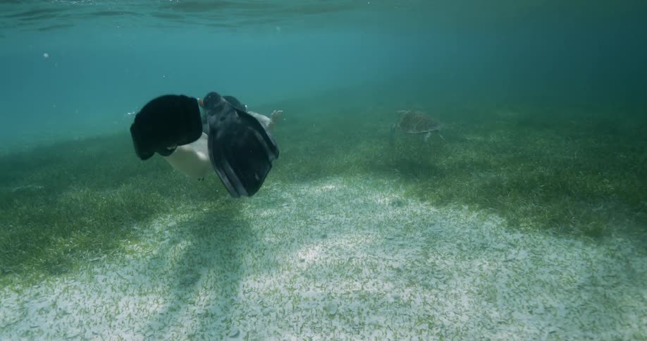 Woman snorkels just under water